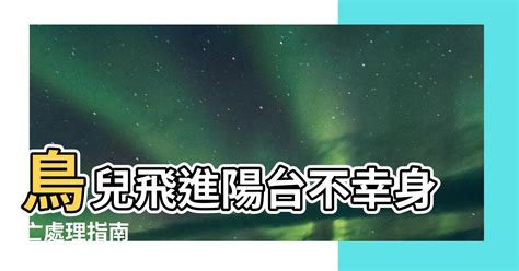 鳥死在陽台風水|鳥死陽台：5大禁忌